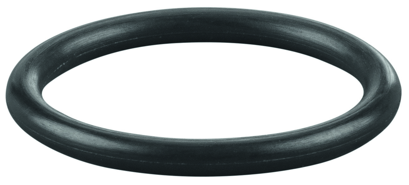 Rems O-ring 060239