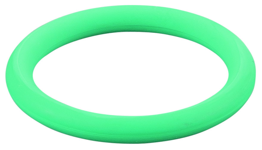 Rems O-ring 060244