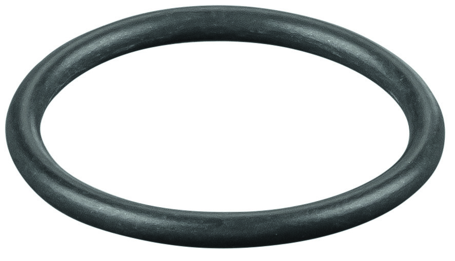 Rems O-ring 060251