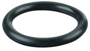 Rems O-ring 060240