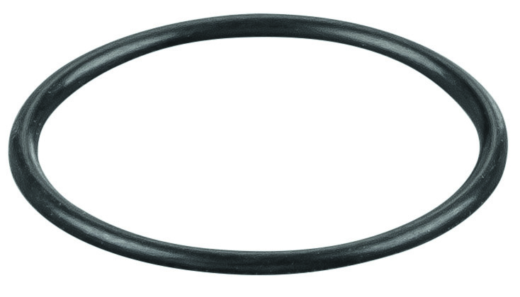 Rems O-ring 060284