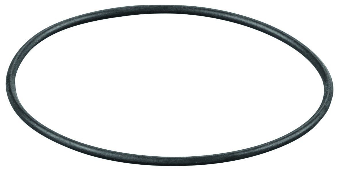 Rems O-ring 060319