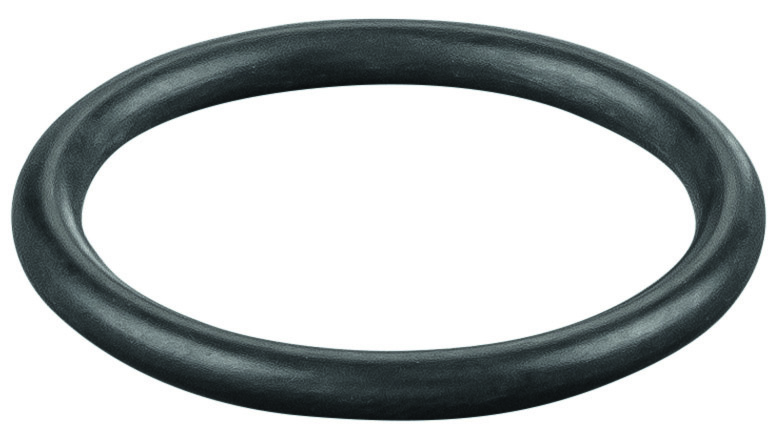 Rems O-ring 060306