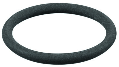 Rems O-ring 060330