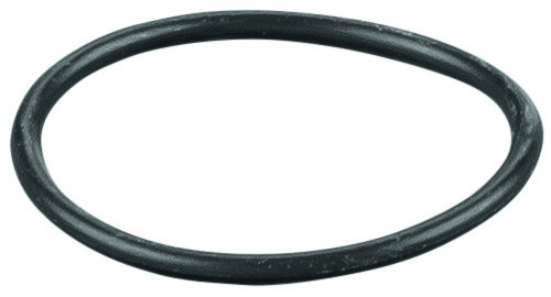 Rems O-ring 060365