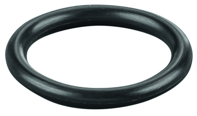 Rems O-ring 060009