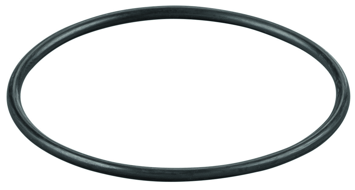 Rems O-ring 060020