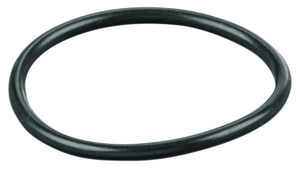 Rems O-ring 060011