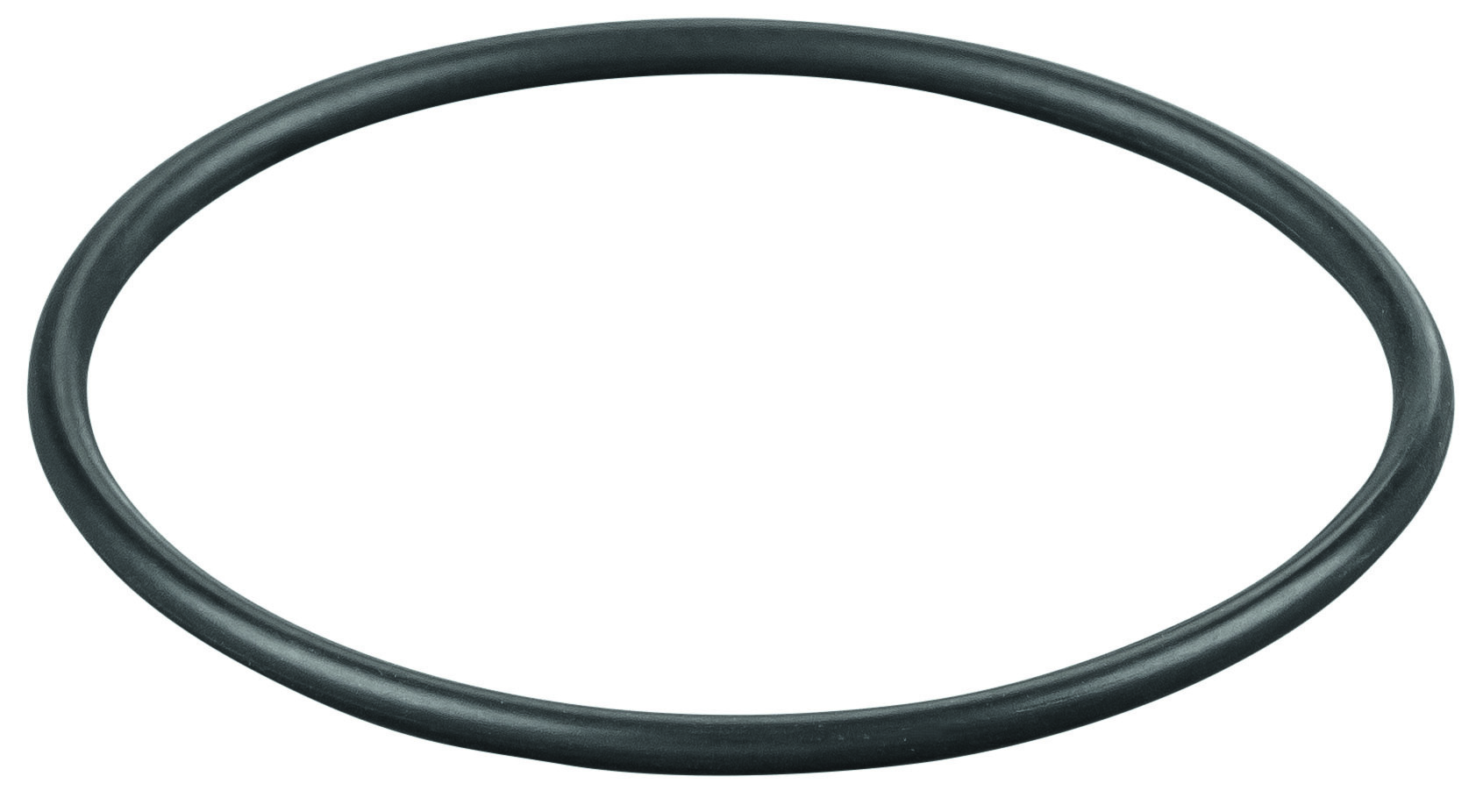Rems O-ring 060108