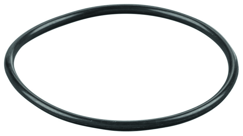 Rems O-ring 060107