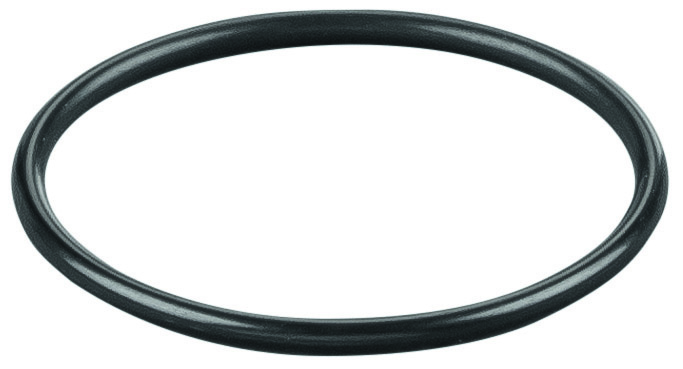 Rems O-ring 060154