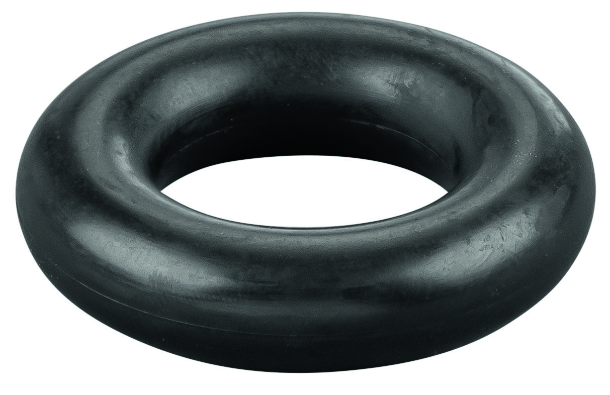 Rems O-ring 060169