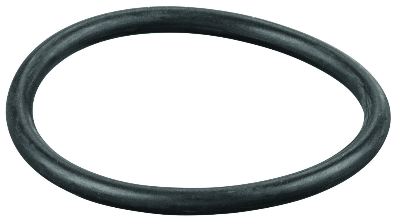 Rems O-ring 060305