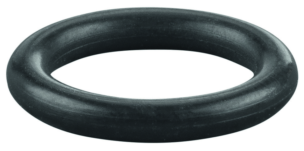 Rems O-ring 060259