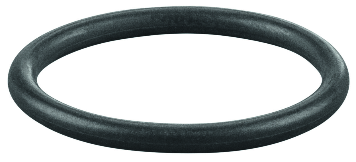 Rems O-ring 060317
