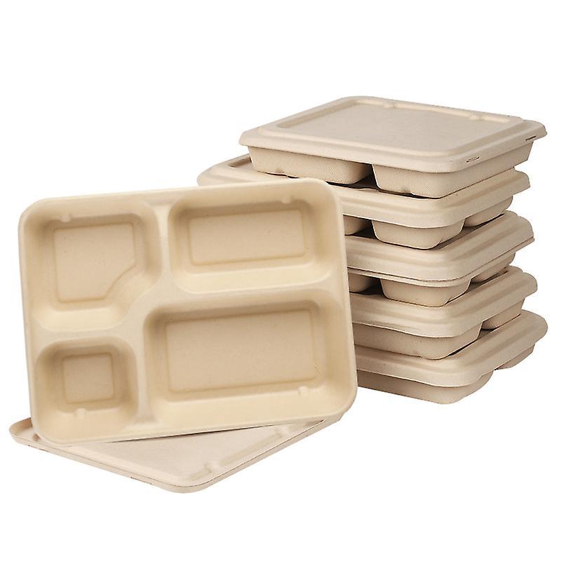 20 Quadratische Einwegschalen Aus Bagasse – Biologisch Abbaubar Und Kompostierbar