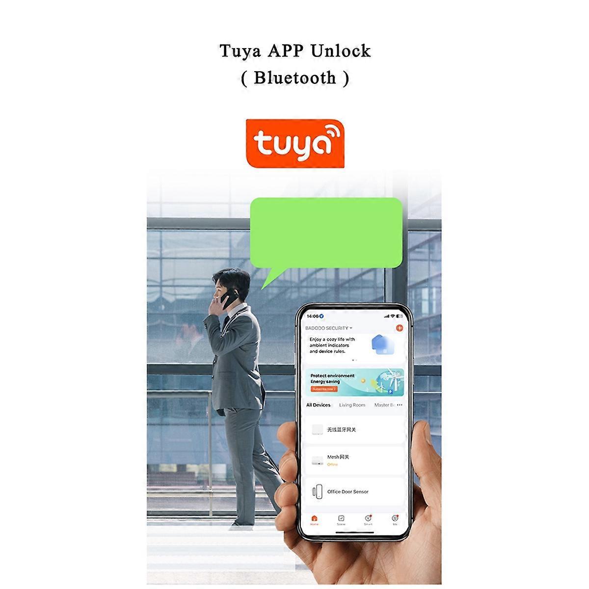 Tuya Smartlife App Intelligenter Fingerabdruck-schrankschubladen-silber L30mm--