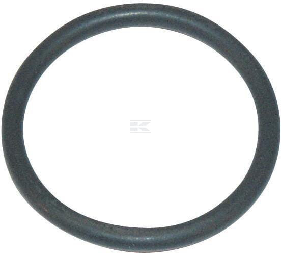O-ring 3,53 X 29,75 Viton Arag 462300550v