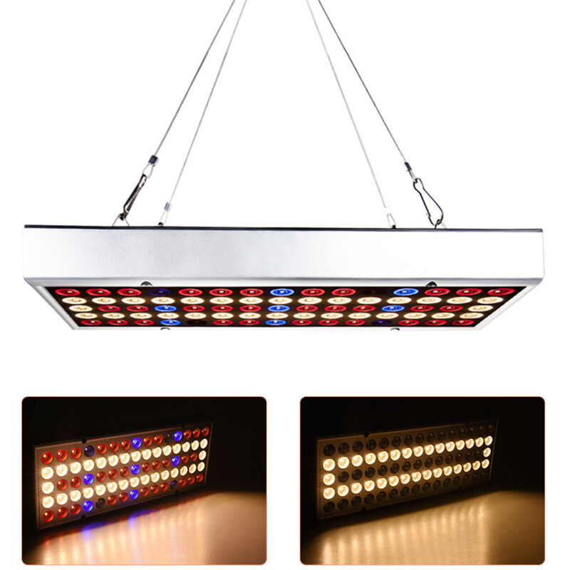 25-w-led-pflanzenlampe, In Reihe Schaltbar – Für Den Innenbereich, Gewächshäuser, Keimung, Vollspektrum, Höhenverstellbar, Geringer Stromverbrauch, Europäischer Standard