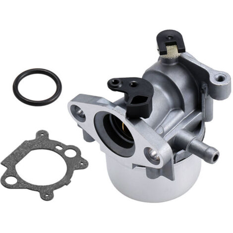Ersatzvergaser Mit Dichtung Für Motor 799866 – Kompatibel Mit 796707 Und 794304 – Komplettes Set Inklusive O-ring