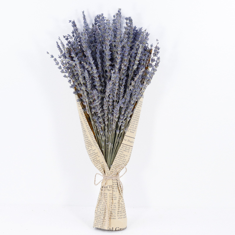 1 Stück Getrockneter Lavendel, Natürlicher Lavendelblütenstrauß, Stiele 43 Cm