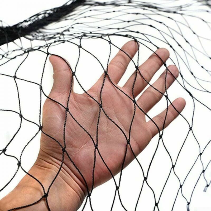 10 X 5 M Vogelschutznetz – Strapazierfähiger Polyethylen-schutz Vor Vögeln – Einfache Installation Für Obst Und Gemüse
