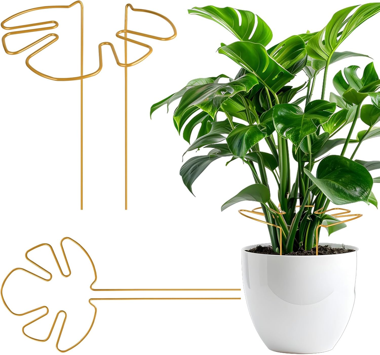 Ccykxa Set Aus 2 Pflanzenständern Aus Edelstahl Mit Einzigartigem Blattdesign Für Zimmerpflanzen, Geeignet Für Monstera, Blumen, Hortensien, Alocasia, Dekorativ (gold)