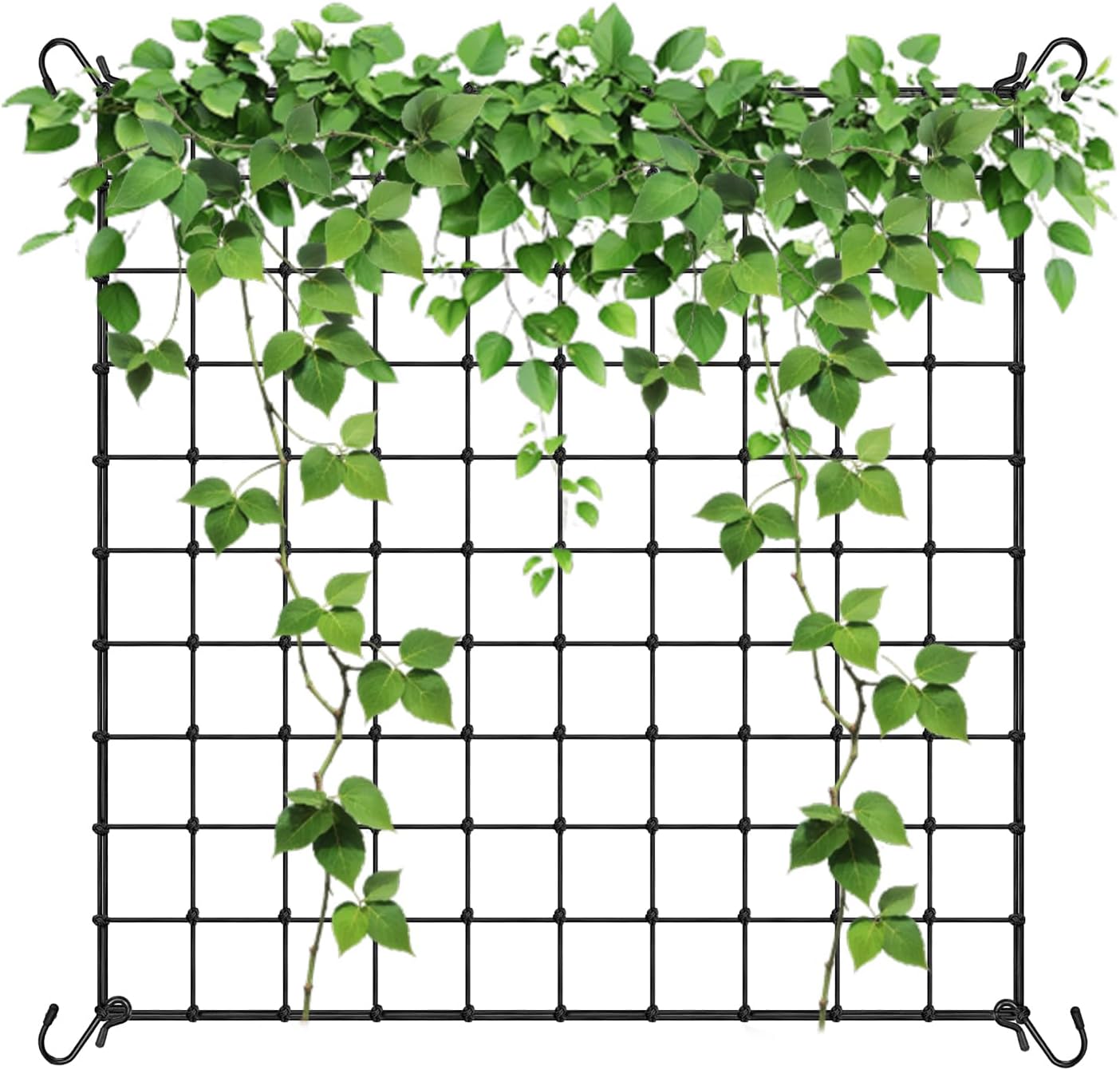 Ccykxa Ranknetz – Großes, Robustes Netz Freilandnetz Für Obstbäume Mit 4 Haken – Für Tomaten, Gurken, Erbsen, Weinreben, Melonen, Obst, Gemüse, Blumen 90 X 90 Cm