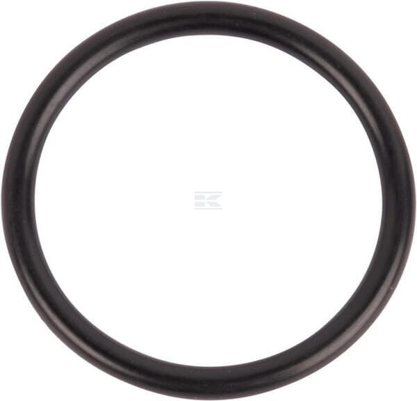 O-ring Cnh 167268