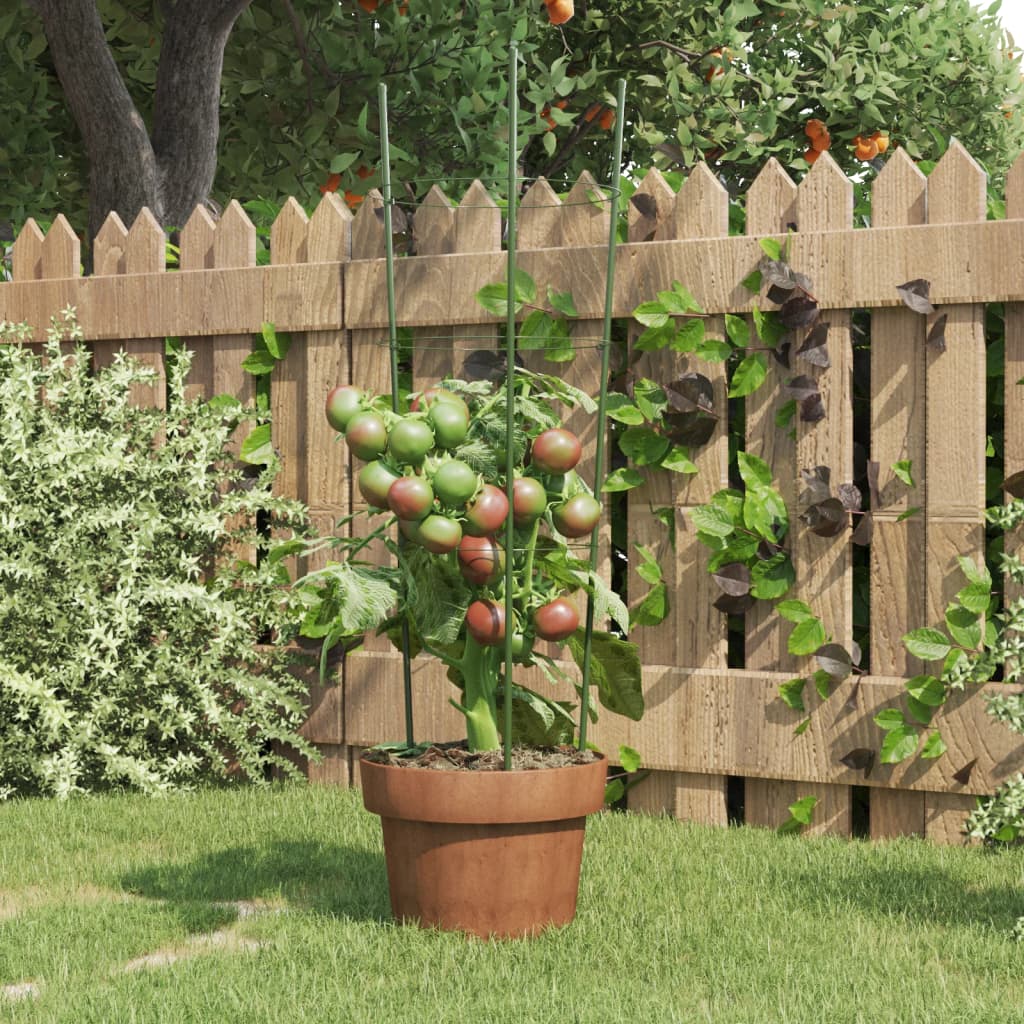 Pflanzenstützen Mit 3 Ringen 5 Stk. Grün 60 Cm Stahl