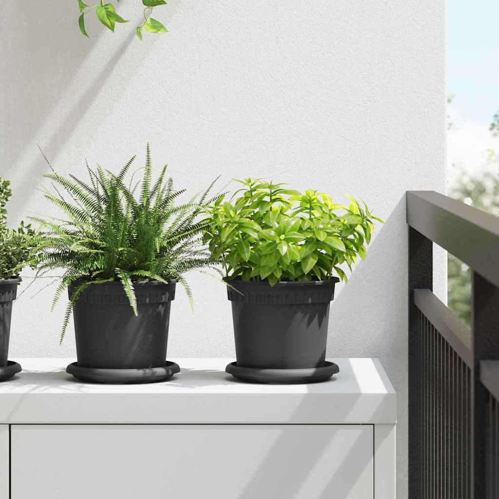 Runde Blumenplatte 24 Pcs Schwarz Ø 14 X 2 Cm Kunststoff