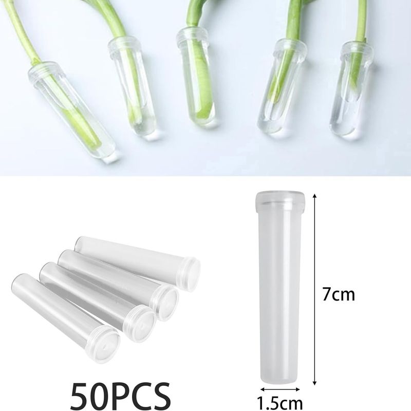 Packung Mit 50 Frischblumenröhrchen – 7 X 1,5 Cm – Transparent – Mit Verschlusskappen – Wiederverwendbar