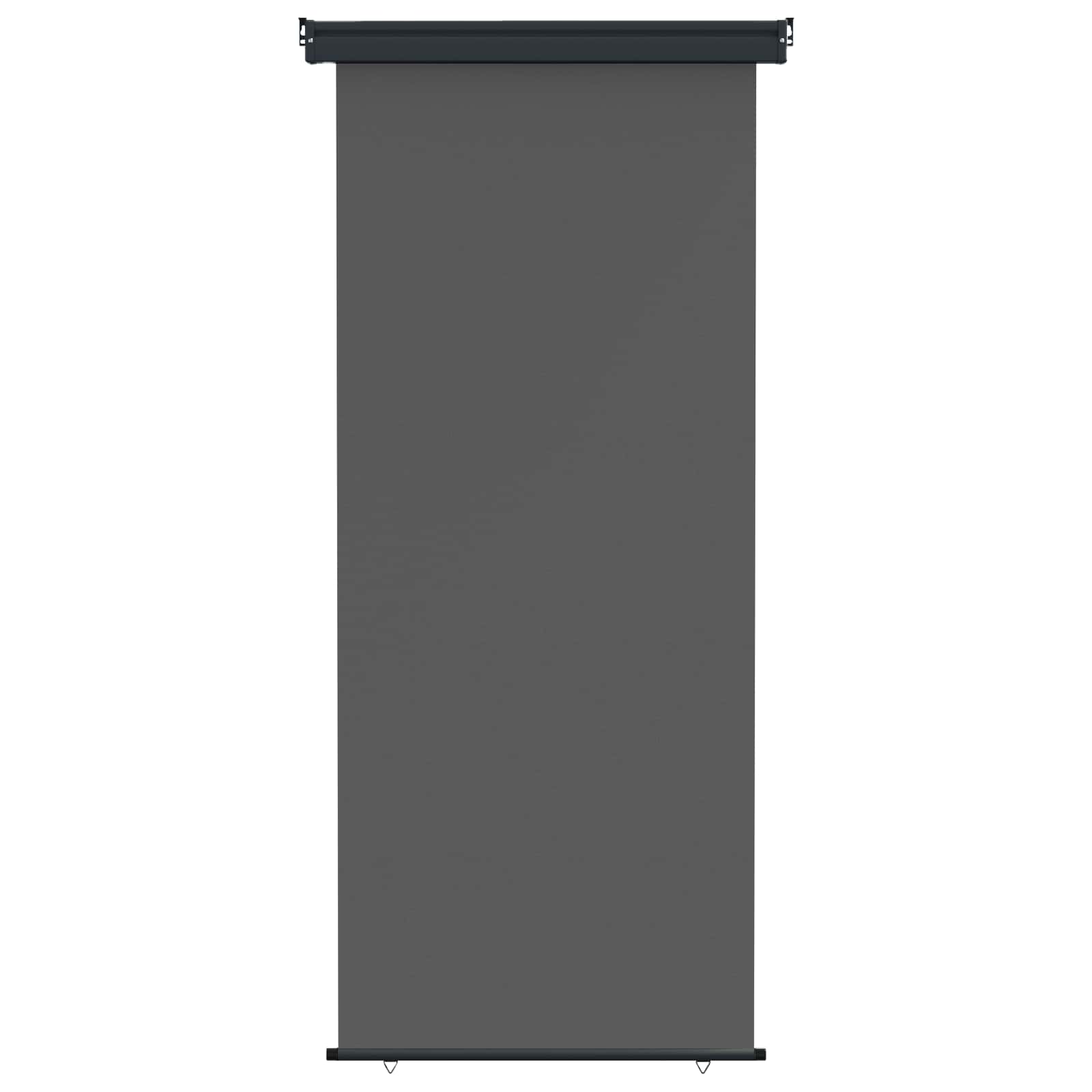 Vidaxl Balcony Side Awning 100 X 250 Cm 100% Polyester Iron Steel