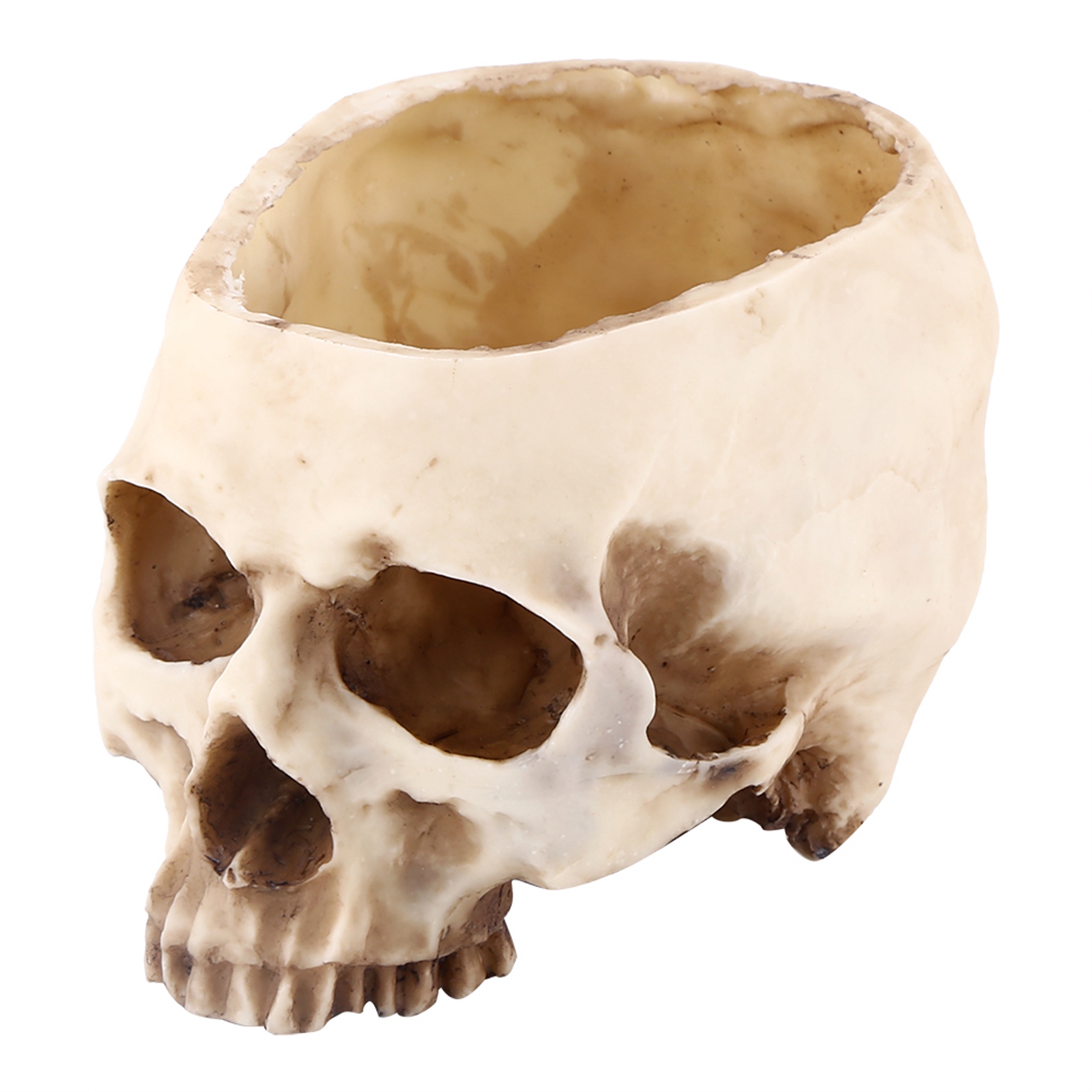 Totenkopf-pflanztopf Aus Kunstharz – Originelle Dekoration Für Drinnen Und Draußen