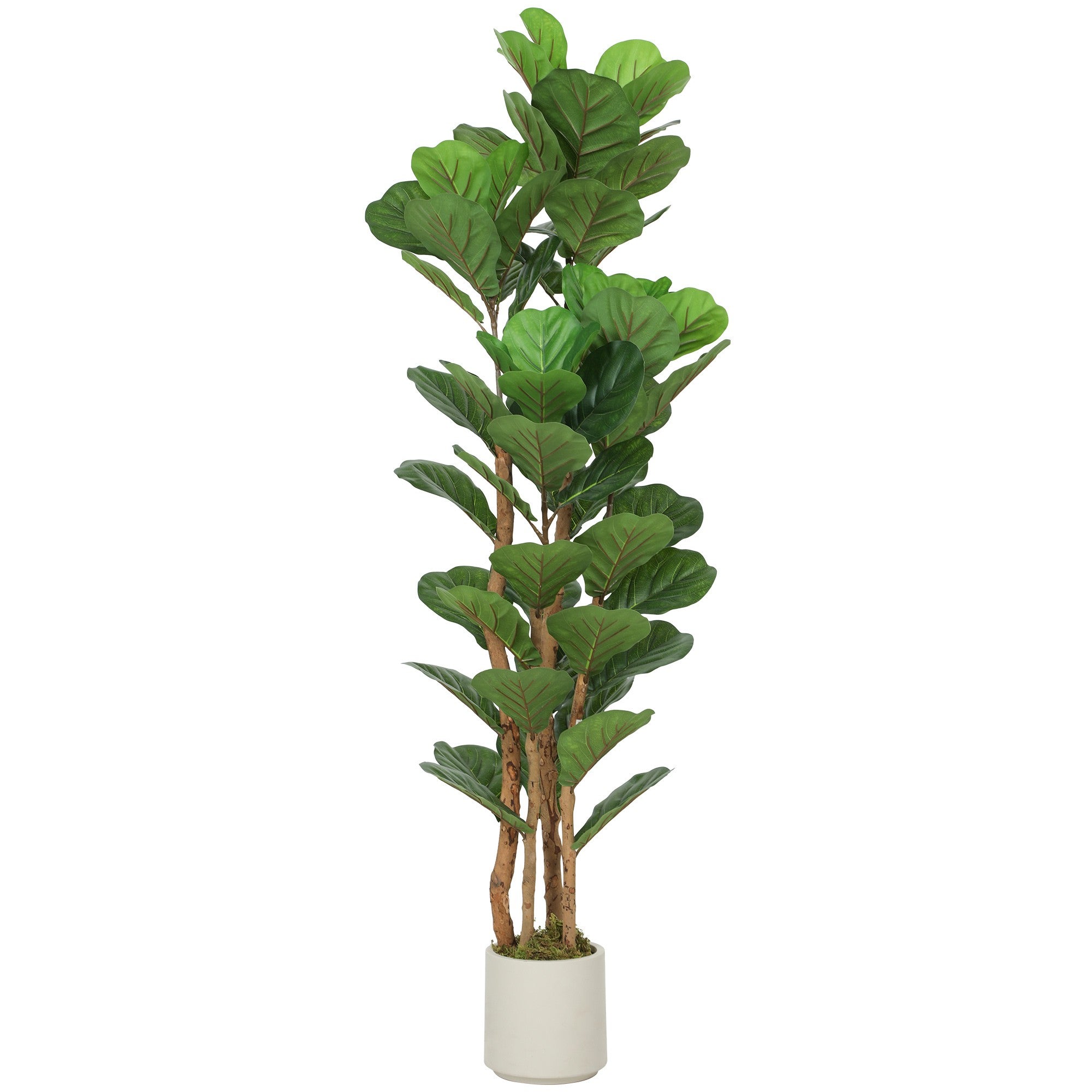 Kunstlicher Geigenfeigenbaum 71 Blatter 150 Cm Hoch 211776642 211776642 211776642