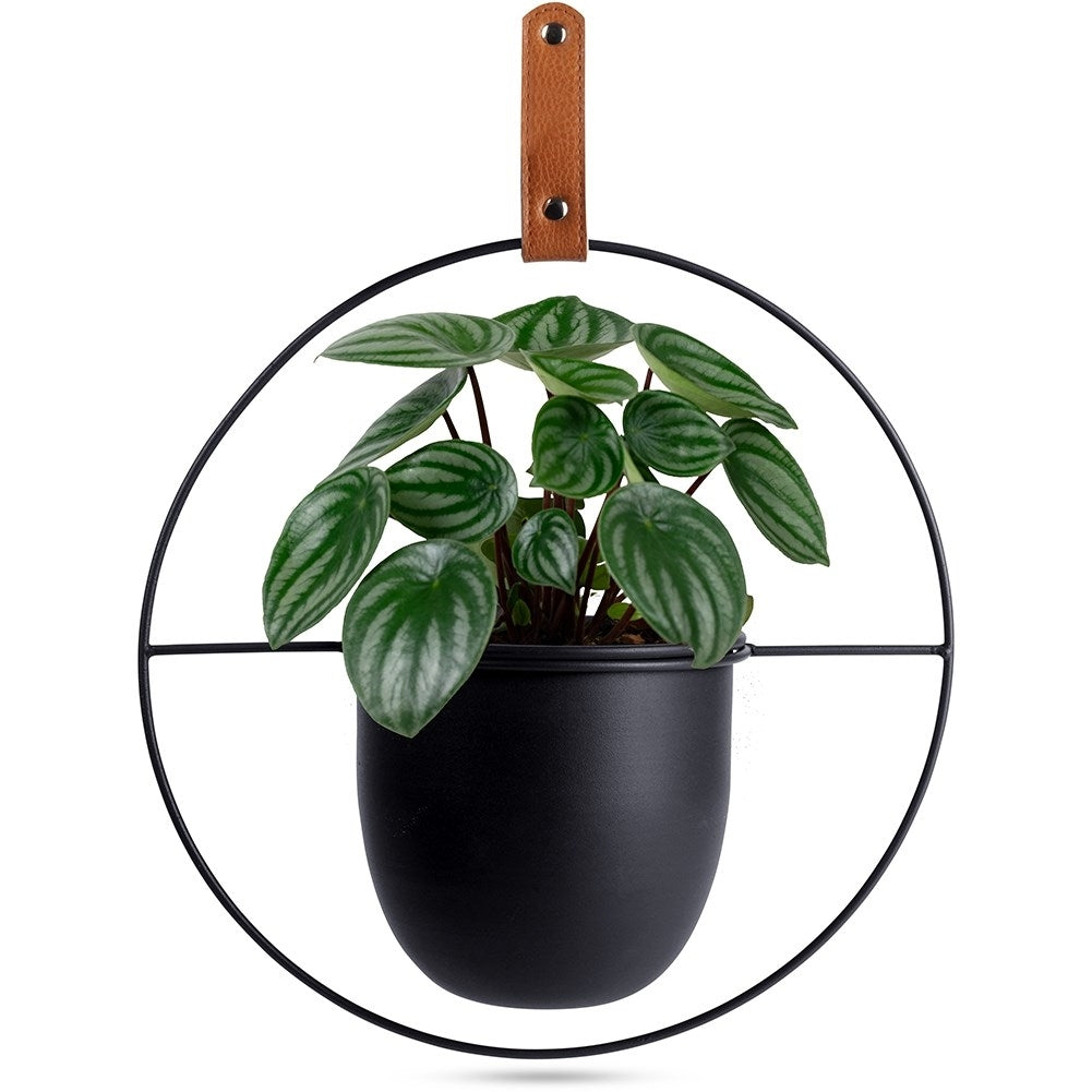 Hängender Metallblumentopf, Schwarz, 30 Cm, 1 Stück.