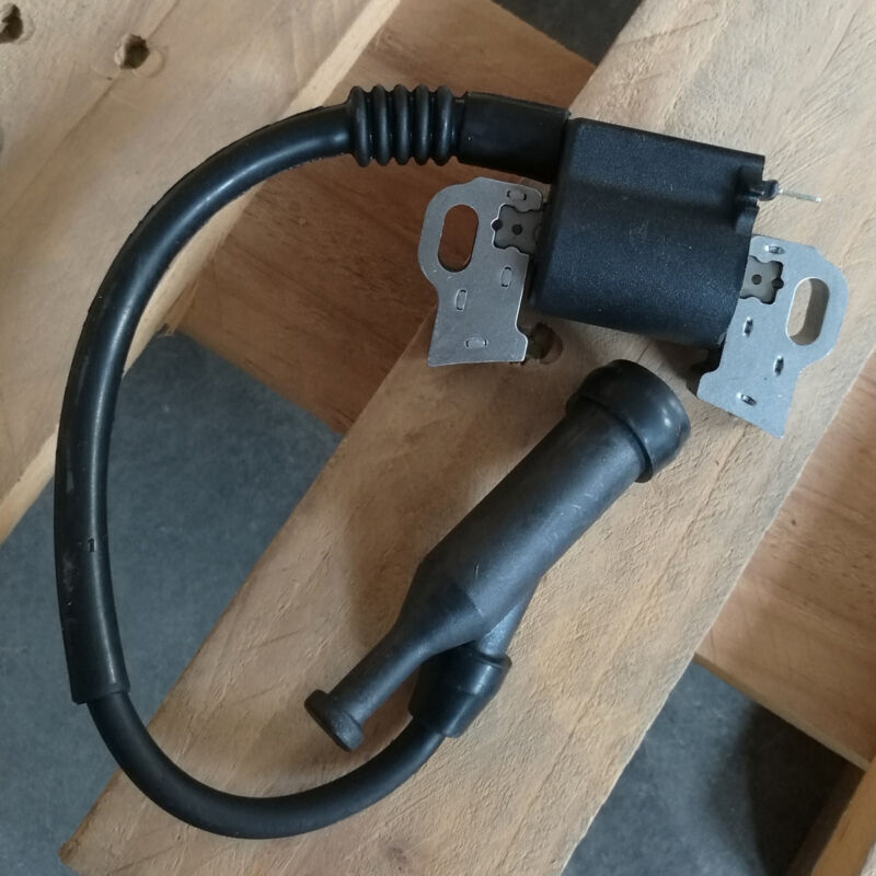 Bobine D'Allumage Briggs & Stratton 797769, Pièce Originale Pour Tondeuses À Gazon Et Générateurs