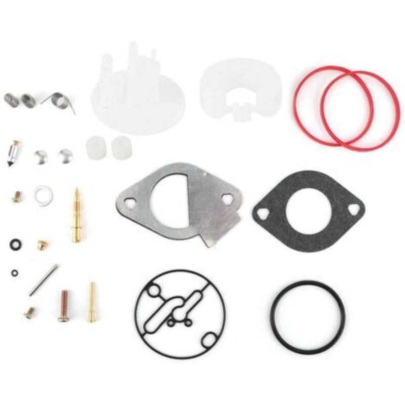 Kit De Réparation De Carburateur Briggs Stratton Pour Modèle 796184 - Ensemble Complet D'Origine