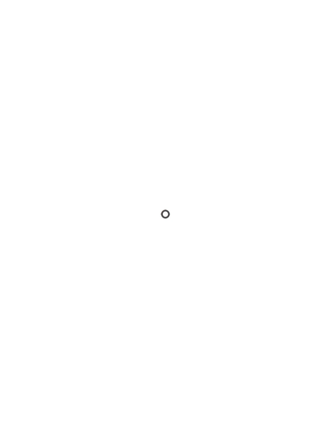 O-ring Briggs Et Stratton 692407