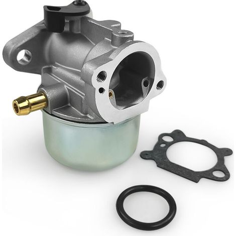 Vergaser 799868 Mit Dichtung Und O-ring – Kompatibel Mit Den Modellen 498170, 498254, 497347, 497314 – Hohe Qualität – Einfache Montage – Komplettes Set