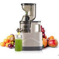 1 Zentrifugalentsafter, 500 W, 8 Cm Einfüllschacht, Doppelfilter, Kaltpressung Für Obst Und Gemüse