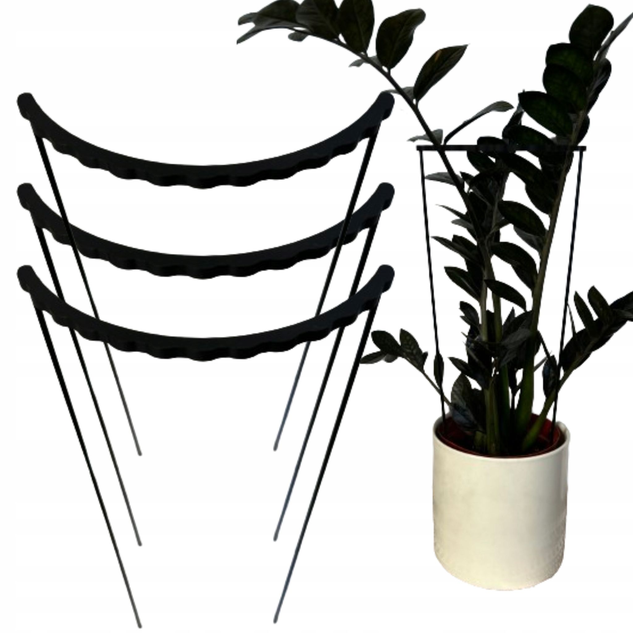 Blumen- Und Pflanzenstützring, Klemmringhalterung L 60x24cm, 3 Stück.