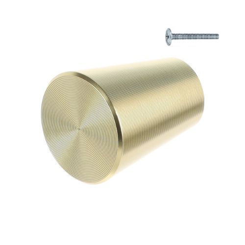 Riex Xk05 Möbelknopf In Mattem Gold