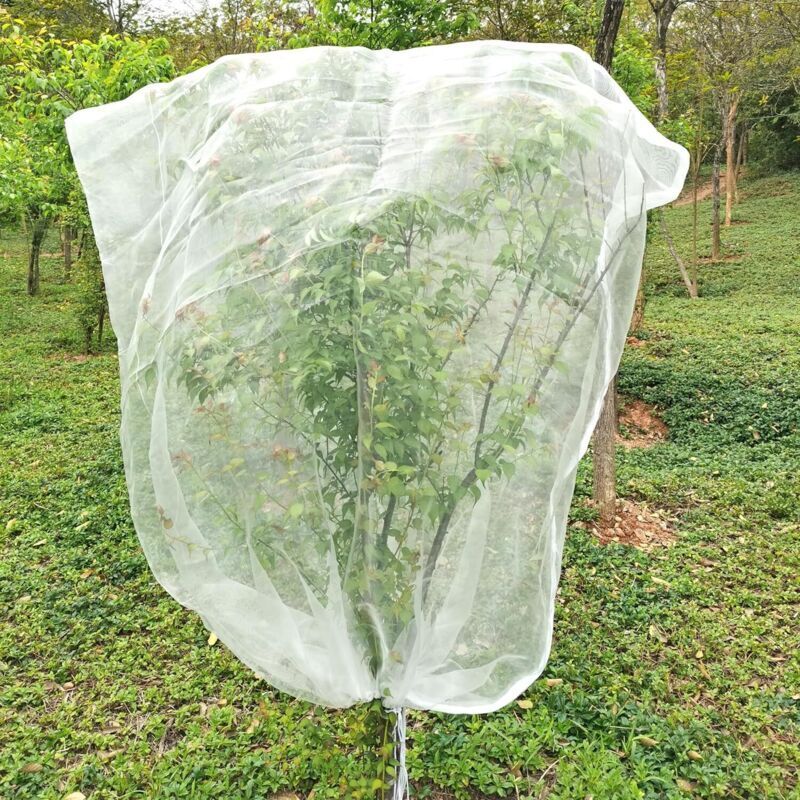 Insekten- Und Vogelschutznetz Für Obstbäume – 2 M × 2,4 M, Feinmaschig Mit Kordelzug