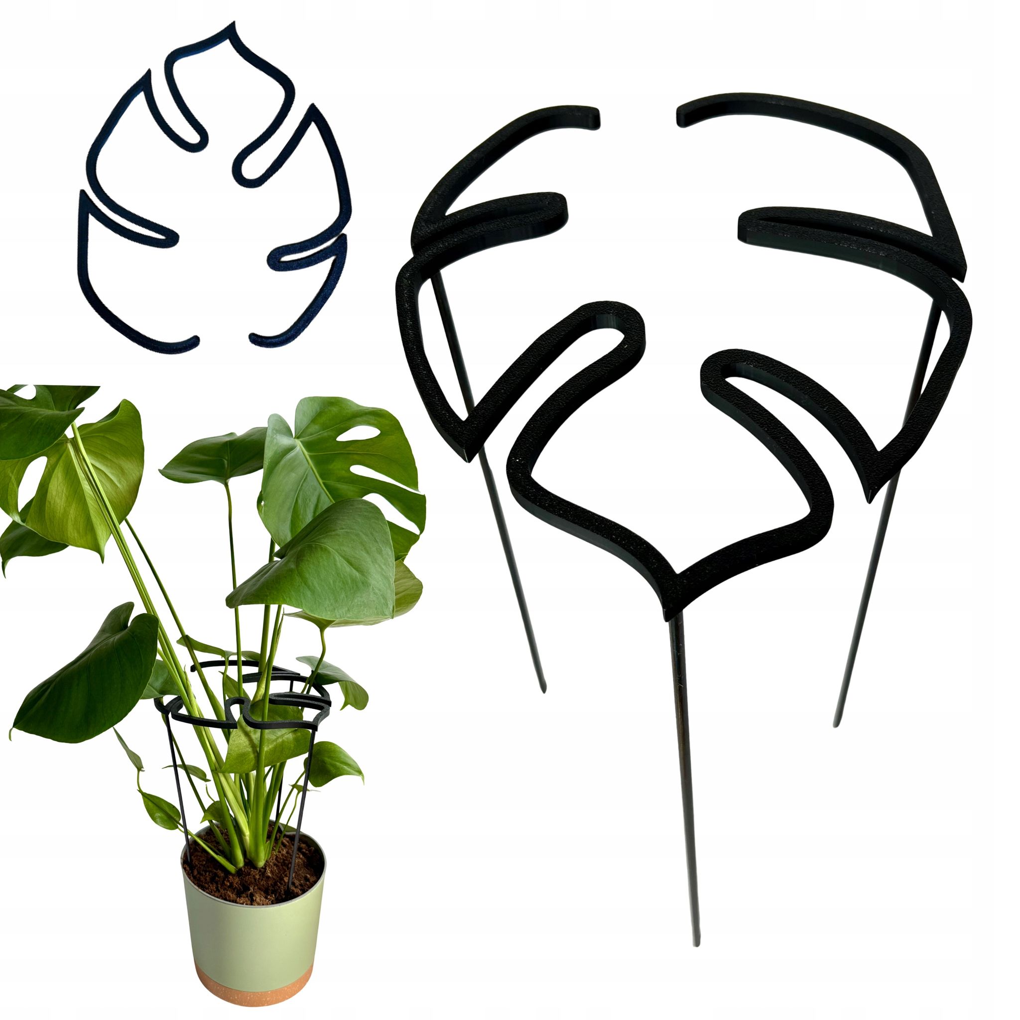 Blumenstützring-klemme Monstera-stützring M 33 Cm