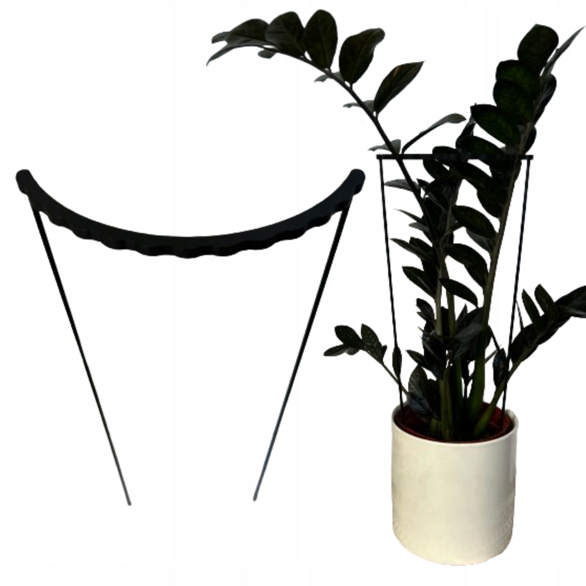 Blumenstützring-klemme, Stützring M, 50 X 21 Cm