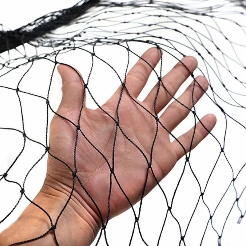 Vogelschutznetz Für Obstbäume – 10 M × 5 M, 25 Mm Maschenweite, Extra Starkes Gewebe, Wirksamer Schutz Vor Vögeln
