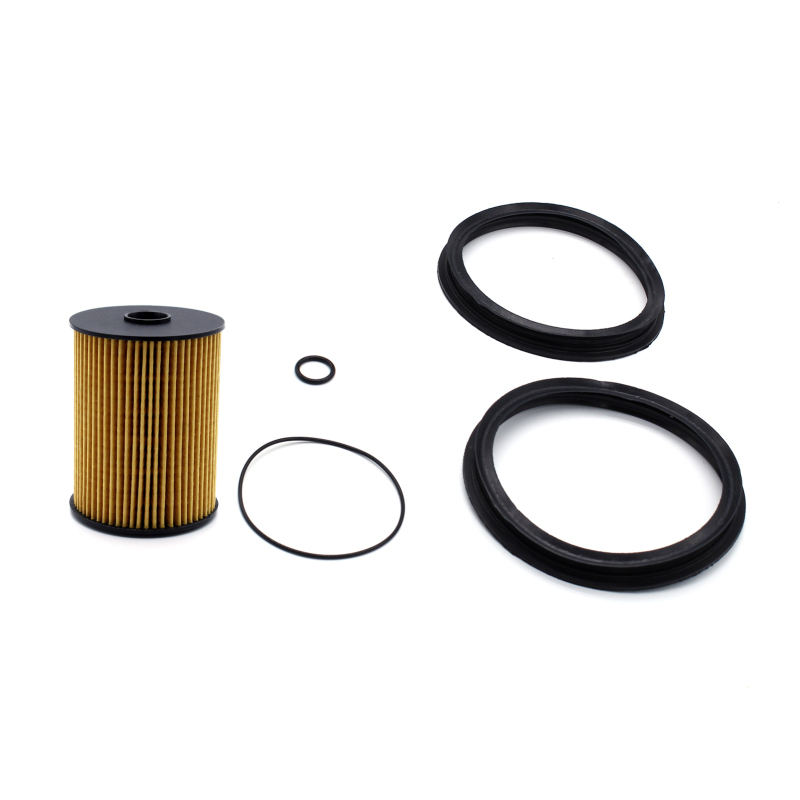 Kraftstofffilter-kit Mit Ersatz-o-ringen Und Dichtungen Für Bmw Mini Cooper S R50 R52 R53 A898 16146757196