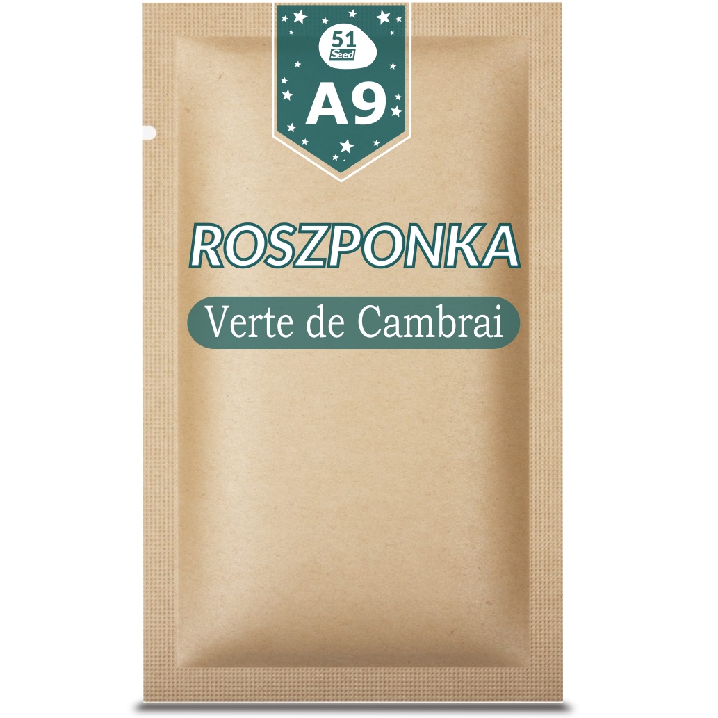 51seed A09 Kaffee Verte De Cambrai 1g