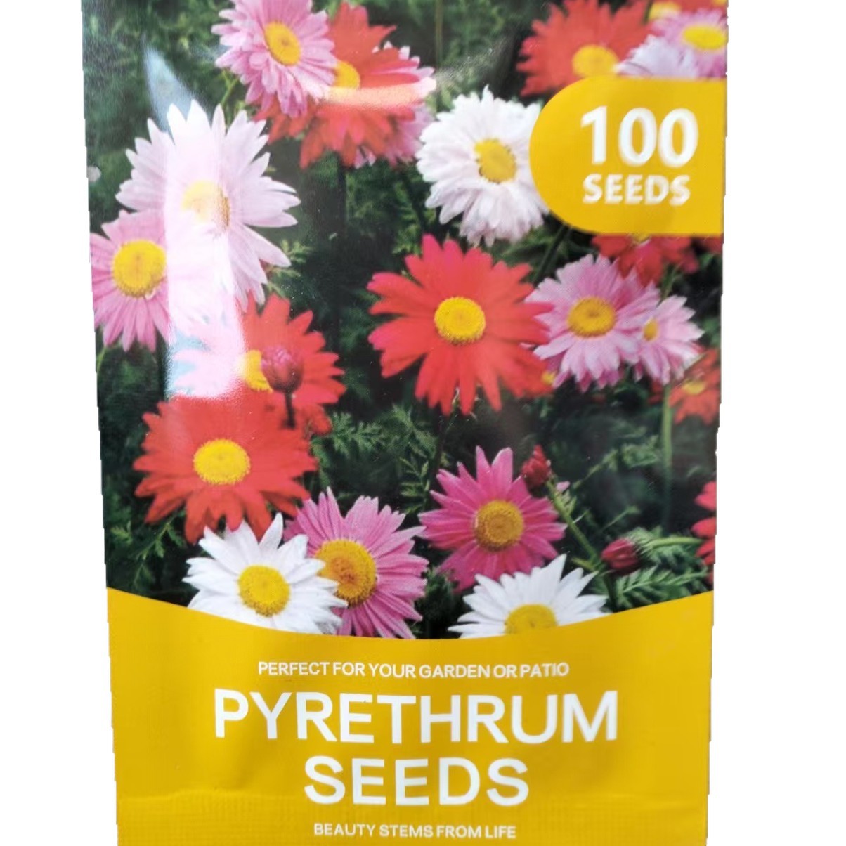 Chrysanthemensamen, 100 Stück, Trockenheitsverträgliche Stauden, Locken Bestäuber An, Ideal Als Schnittblumen, Für Garten Und Landschaftsgestaltung, Pflegeleicht